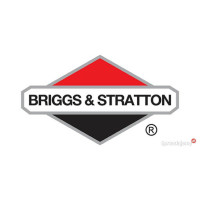 BRIGGS&STRATTON - części org